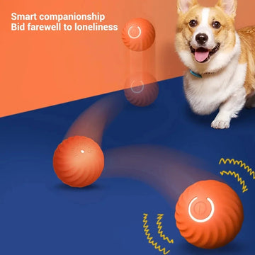 Smart Bounce Dog Toy Ball